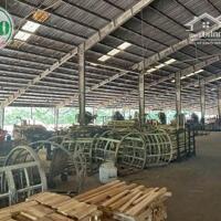 Cho thuê nhà xưởng 20.000 m2 tại Gò Dầu, Tây Ninh giá rẻ