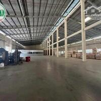 Cho thuê nhà xưởng 20.000 m2 tại Gò Dầu, Tây Ninh giá rẻ