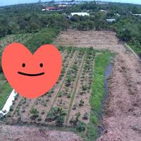 Bán đất mặt tiền đường nhựa, Phường Tân Hội, Vĩnh Long