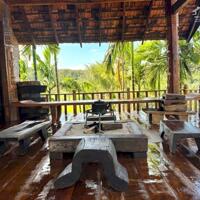 NHÀ VƯỜN VIP,TC 600m2,Tổng 2,8 sào,Thực 3,3 sào.mặt tiền 33m Đường Dã Tượng VIEW HỒ,ngay Eco City