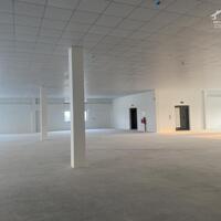 Cho thuê kho xưởng DT 19.000m2 trong KCN tại Hà Nam