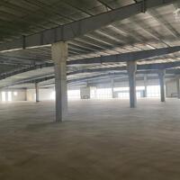 Cho thuê kho xưởng DT 19.000m2 trong KCN tại Hà Nam