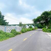 BÁN ĐẤT ĐƯỜNG NHỰA LỚN - NGAY TL44B - TT PHƯỚC HẢI , LONG ĐẤT , GIÁ BAO RẺ NHẤT KHU VỰC