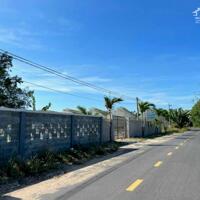 BÁN ĐẤT ĐƯỜNG NHỰA LỚN - NGAY TL44B - TT PHƯỚC HẢI , LONG ĐẤT , GIÁ BAO RẺ NHẤT KHU VỰC