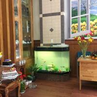 Bán nhà 3 tầng mặt tiền đường Hoàng Văn Thụ- Nha Trang