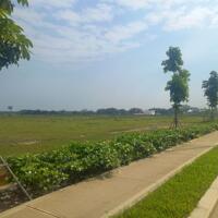 Bán đất xây dựng xưởng 2ha KCN Phú Mỹ 3, Tân Phước, Phú Mỹ, BRVT