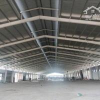 Bán nhà xưởng 20.000 m² trong KCN Long Giang, Tân Phước, Tiền Giang
