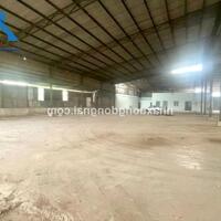 Cho thuê kho xưởng 1500m2 phường Tân Hoà, Tp Biên Hoà Đồng Nai