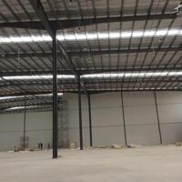 Cho thuê xưởng 28000m2 KCN Huyện Củ Chi,  Tp HCM