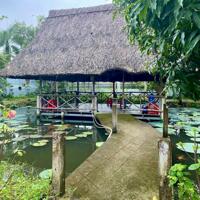 Nhà vườn nghỉ dưỡng xã Trung Lập Hạ, Củ Chi tổng dt 1700m2 có 300m2 thổ giá 10 tỷ