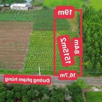 BÁN HƠN 1500M2 MT PHẠM HÙNG KCN ĐẤT ĐỎ - XÃ PHƯỚC LONG THỌ , GIÁ CHỈ 2,4 TỶ