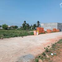 Cực sốc! Cơ hội đầu tư Đất nền sổ đỏ gần khu công nghiệp giá tốt đầu tư chỉ từ 6tr/m2