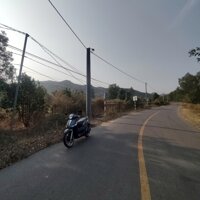 bán 1,6hecta đất tt Phước Hải
