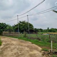 Bán đất CLN xã bảo hòa