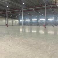 Hiện taị đang còn kho thuê 200m², 280m², 360m², 500m², 650m², 720m², 1000m², 2500m², 5000m², kho nhà xưởng khu vực Sơn Trà, Đà Nẵng.