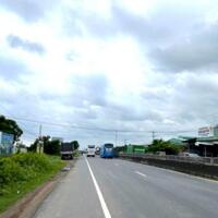 Cần bán 9 sào 3 thực tế 1 ha 5 đất cây lâu năm có sẵn thanh long Hàm Minh- Hàm Thuận Nam- Bình Thuận cách QL1A có 500m đường bê tông ô tô tận nơi.