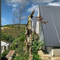 3 sào Homestay Bảo Lộc view đẹp, suối thác tự nhiên.