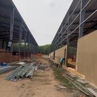 Cần Thuê Xưởng Tại Bàu Bàng, Bình Dương? Giá Tốt, Vị Trí Đẹp, Thuê Ngay!   Liên hệ ngay: 0366 632 092