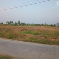 Chính chủ bán 5 lô đất liền kề 5x28, có 100m2 thổ, Bình Nghị GCĐ, Tiền Giang