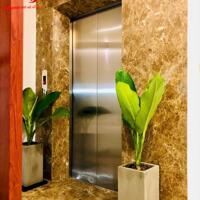 CHỦ ĐI NƯỚC NGOÀI CẦN BÁN BIỆT THỰ KHINH DOANH PHƯỜNG THỐNG NHẤT BIÊN HOÀ
