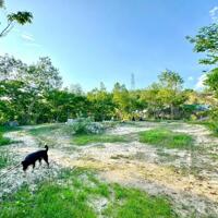 Cô chú có tuổi không  chăm sóc cần bán Farm nghỉ dưỡng TT Diên Khánh
