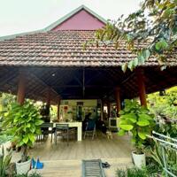 Cô chú có tuổi không  chăm sóc cần bán Farm nghỉ dưỡng TT Diên Khánh