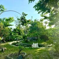 Cô chú có tuổi không  chăm sóc cần bán Farm nghỉ dưỡng TT Diên Khánh