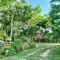Cô chú có tuổi không  chăm sóc cần bán Farm nghỉ dưỡng TT Diên Khánh