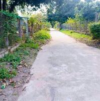 Bán đất Cam Phước Đông - khu dân cư - đường bê tông ô tô thoải mái