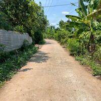 Chủ Ngộp - Cần Bán Gấp Lô Đất Vườn 1500m2 Gần Ngã Tư Dầu Giây Đồng Nai