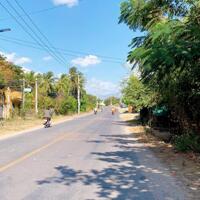 ĐẤT BIỂN BÌNH THUẬN FULL THỔ ĐƯỜNG QUY HOẠCH 29M SÁT TUYẾN ĐƯỜNG VEN BIỂN LIÊN HƯƠNG