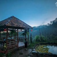 CHÍNH CHỦ BÁN HOMESTAY 1,6HA GIỮA RỪNG THÔNG – CÓ SUỐI, CÓ VƯỜN, CÓ TÌNH