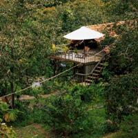 CHÍNH CHỦ BÁN HOMESTAY 1,6HA GIỮA RỪNG THÔNG – CÓ SUỐI, CÓ VƯỜN, CÓ TÌNH