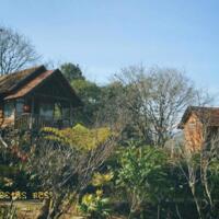 CHÍNH CHỦ BÁN HOMESTAY 1,6HA GIỮA RỪNG THÔNG – CÓ SUỐI, CÓ VƯỜN, CÓ TÌNH