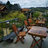 CHÍNH CHỦ BÁN HOMESTAY 1,6HA GIỮA RỪNG THÔNG – CÓ SUỐI, CÓ VƯỜN, CÓ TÌNH