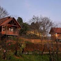 CHÍNH CHỦ BÁN HOMESTAY 1,6HA GIỮA RỪNG THÔNG – CÓ SUỐI, CÓ VƯỜN, CÓ TÌNH