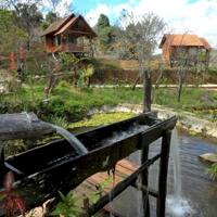 CHÍNH CHỦ BÁN HOMESTAY 1,6HA GIỮA RỪNG THÔNG – CÓ SUỐI, CÓ VƯỜN, CÓ TÌNH