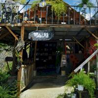 CHÍNH CHỦ BÁN HOMESTAY 1,6HA GIỮA RỪNG THÔNG – CÓ SUỐI, CÓ VƯỜN, CÓ TÌNH