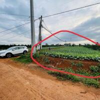 Bán lô đất 2 mặt tiền view hồ Phúc Thọ tại xã Phúc Thọ , huyện Lâm Hà , Lâm Đồng