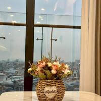 Cho thuê căn hộ 2 ngủ 2wc giá chỉ 12tr tại chung cư Hoàng Huy Commerce