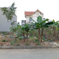 Bán tất cả các lô Cửa Trại - Thuỷ Nguyên đủ diện tích đủ vị trí đủ tuyến giá từ 3.x tỷ cho khách đầu tư ạ. Lh 0967084289