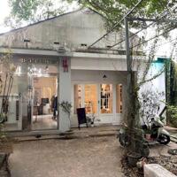 Cho thuê Biệt thự sân vườn 200m2 HXT sát MT Trường Chinh P15 Tân Bình, 20Tr/Th