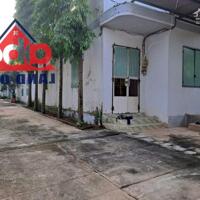 Bán nhà xưởng 1063m2 đường xe container, Tây Hòa, Trảng Bom, giá 5 tỷ 600.