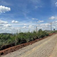 Đất Tân Thượng 10x65m 75m thổ mt nhựa săn mây giá 650tr