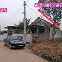Bán 97m2 thôn đình,Thanh vân, Tam dương. gần trường học, QL2c, chợ đạo tú