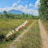 Bán đất vườn Diên Xuân giá rẻ sát bên trục đường nhựa liên xã - cách chợ Đất Sét chỉ 900m