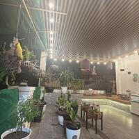 BÁN NHÀ PHÂN LÔ VIP NGUYỄN VIẾT XUÂN–MẶT NGÕ THÔNG–Ô TÔ TRÁNH–NỞ HẬU–CHỈ 2X TỶ