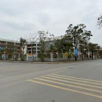 Bán đất 120m2 Khu Đấu Giá 31Ha Trâu Quỳ, Đường Thông Ô Bàn Cờ. LH: 0379483926