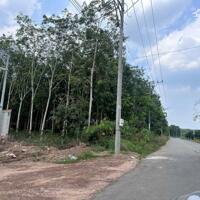BÁN ĐẤT SKC TẠI VĨNH HOÀ PHÚ GIÁO BÌNH DƯƠNG