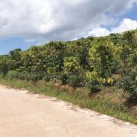50x40m đất bằng đẹp view Bảo Lộc, gần ql20